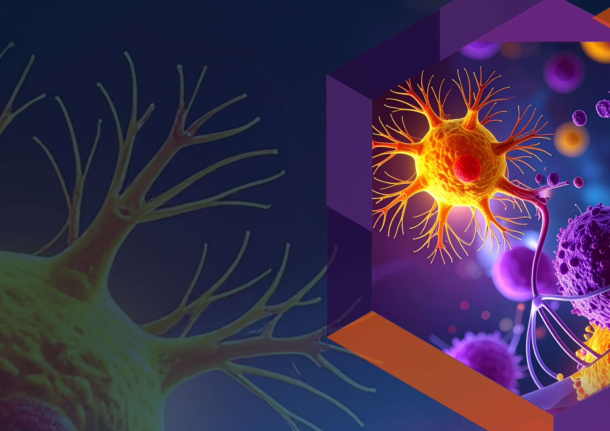 5th ALS Drug Development Summit brochure cover background